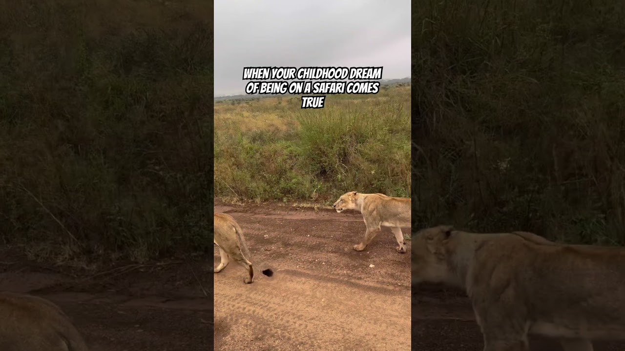 When your childhood dreams of being on a safari comes true #safarinow #safari