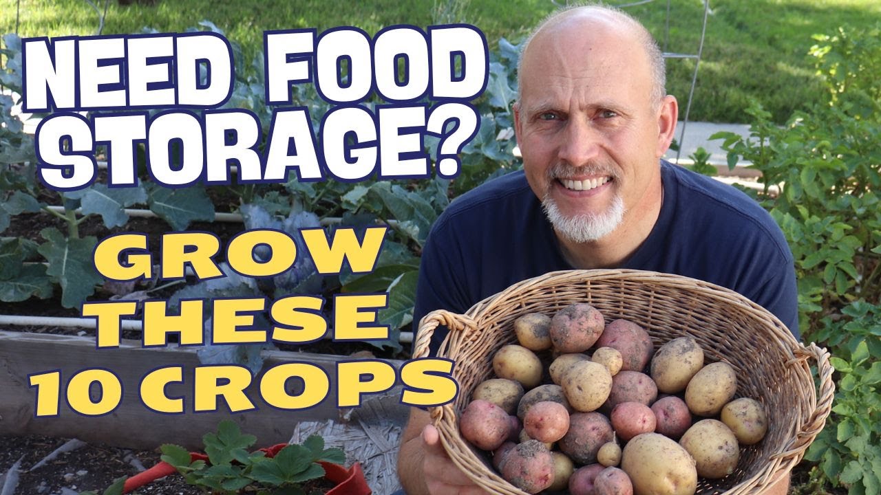 The 10 Best Garden Crops for Food Storage