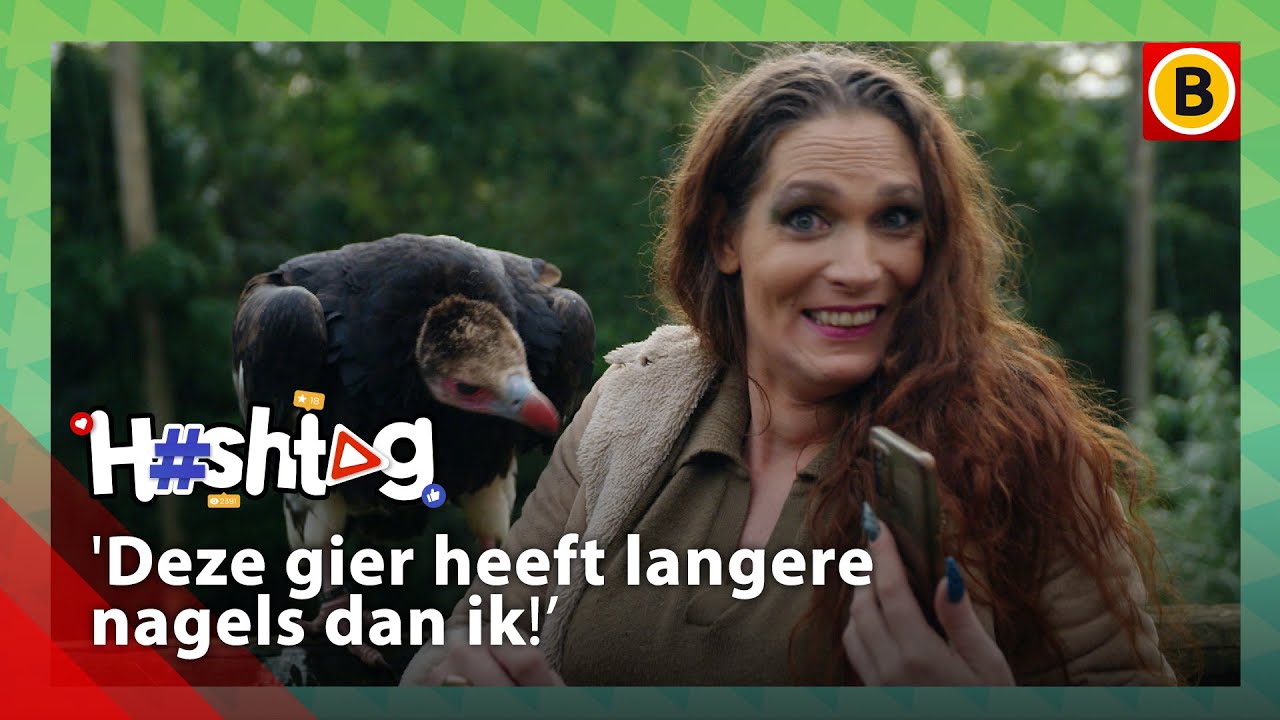 #6 Filmpjes maken tussen BEDREIGDE DIERSOORTEN | Hashtag