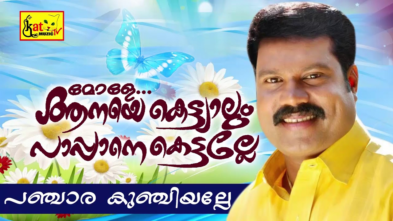 പഞ്ചാര കുഞ്ചിയല്ലേ Song | Mole Anaye Kettiyalum Pappane Kettalle | Kalabhavan Mani | Nadan Pattukal