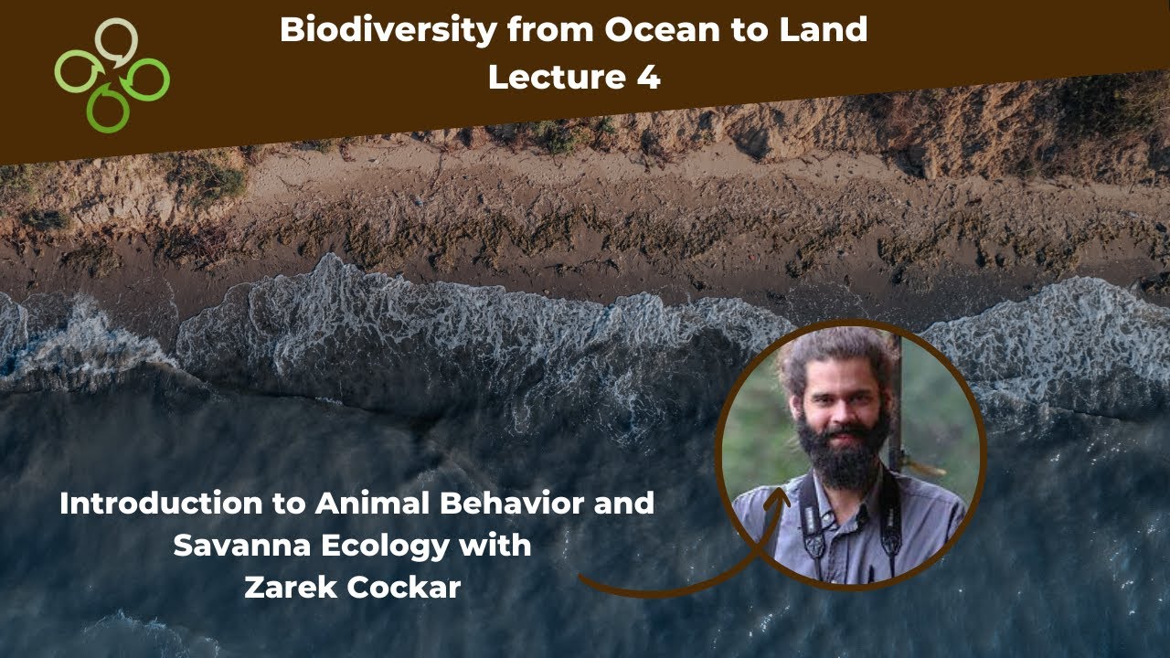 Introduction to Animal Behavior and Savanna Ecology