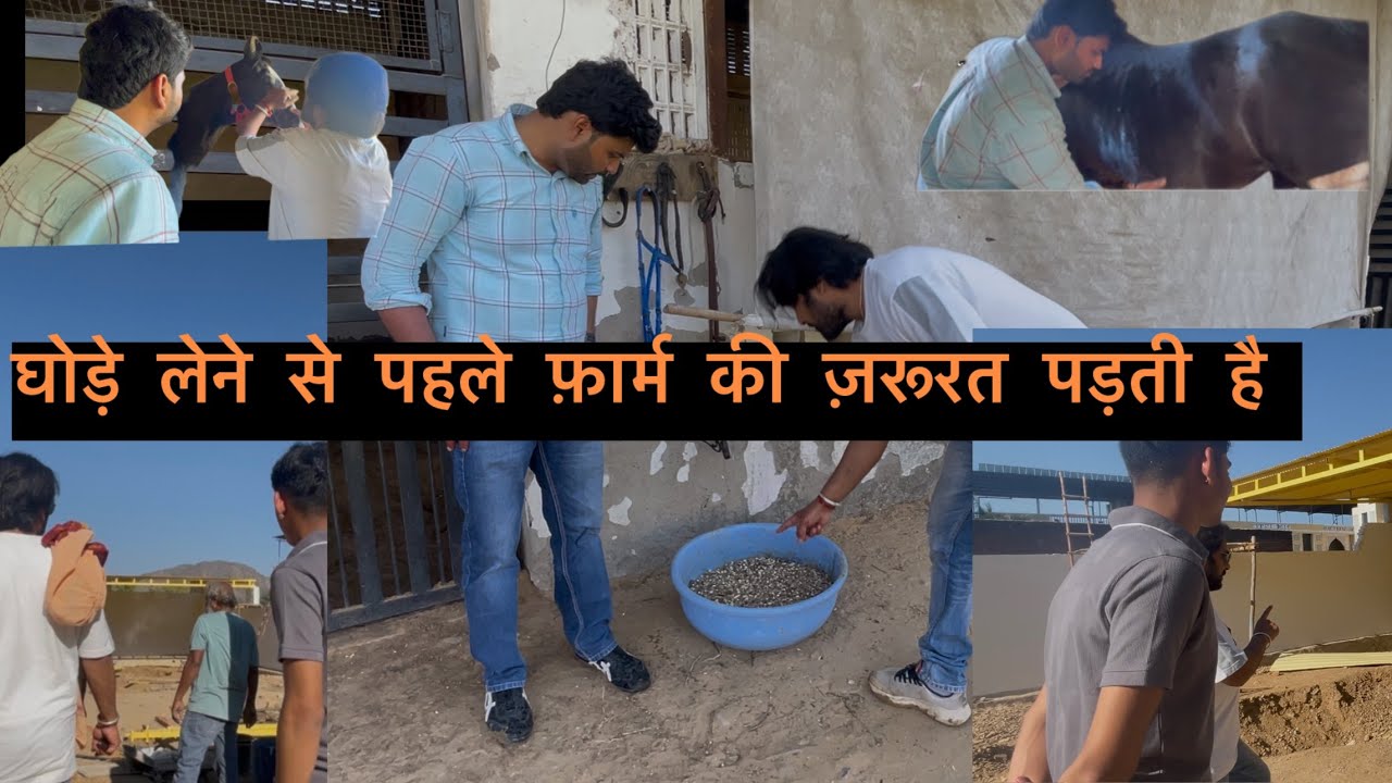 न्यू फ़ार्म रेडी  हे 🐎🌾or farm par aaye ek aur hores lover kam sikhne  क्या और कैसे रखते हो #horse 