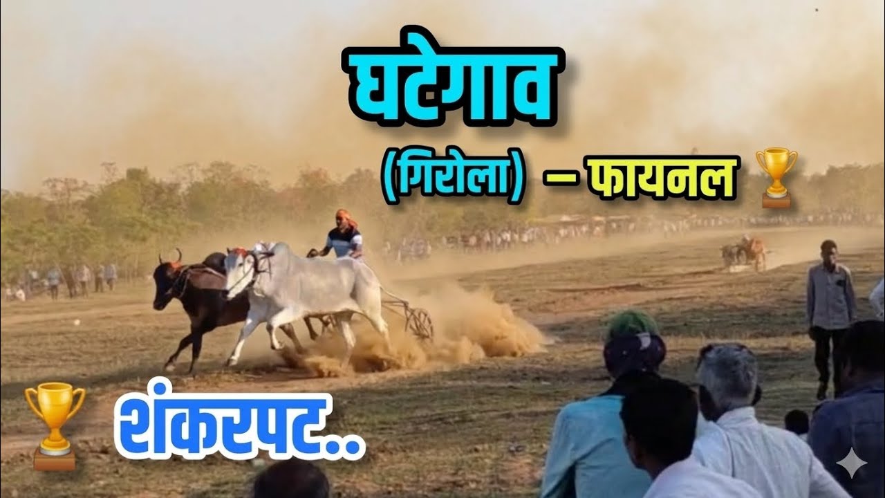 घटेगाव ...शंकरपट फायनल #bailgadasharyat #youtubevideo #bailgada 