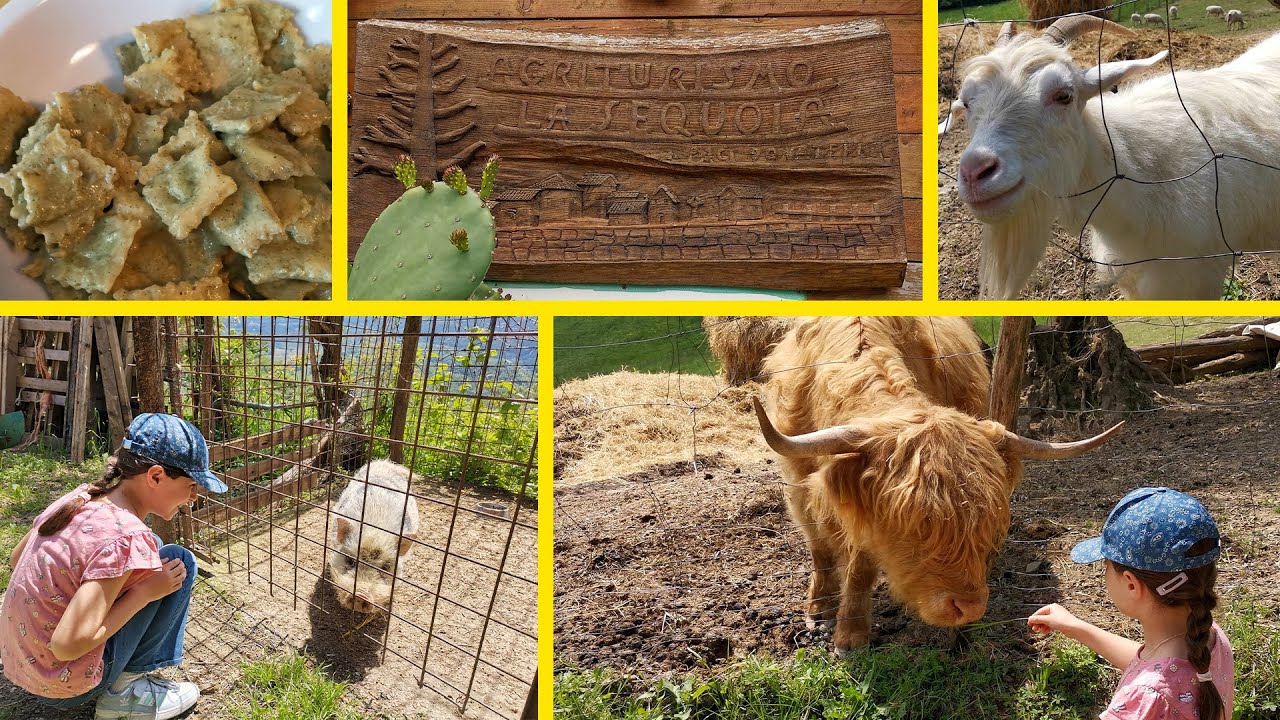 Agriturismo, Fattoria Didattica la Sequoia | Tanti animali e Relax nell'entroterra Riminese