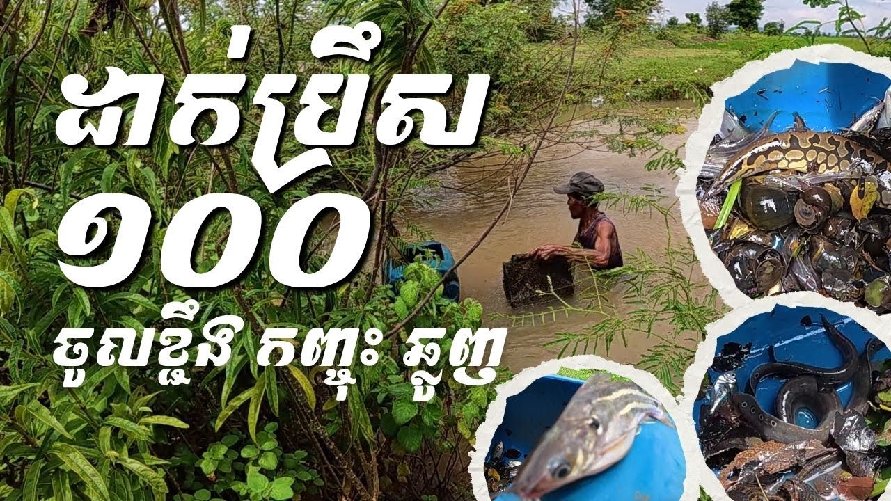 ដាក់ប្រឹស១០០🐟