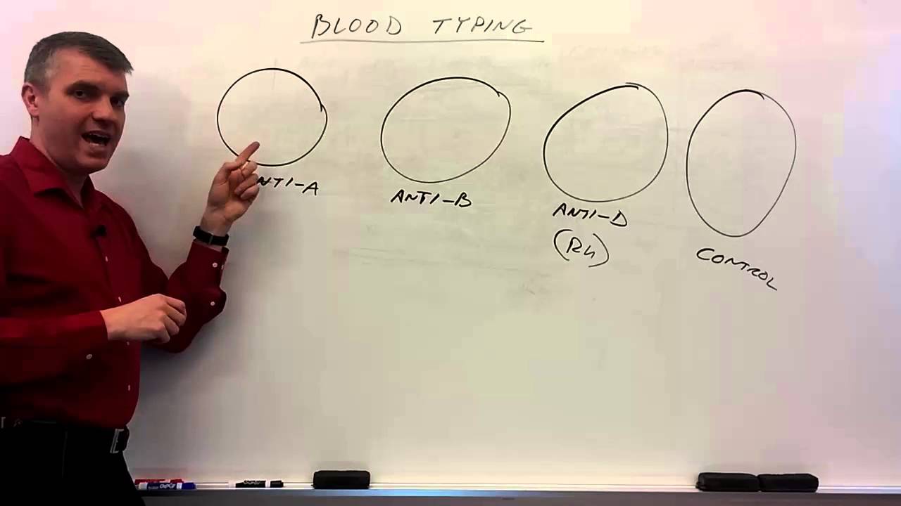 Blood Typing Explained