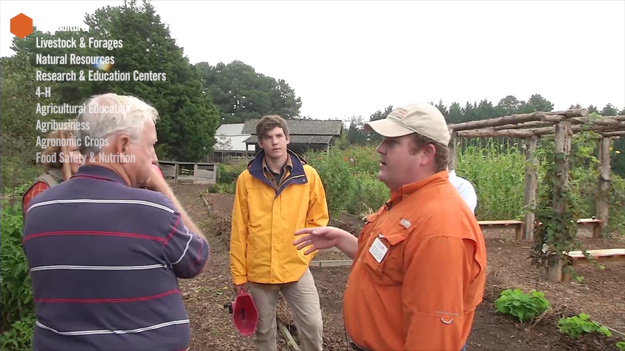 Clemson Extension Overview