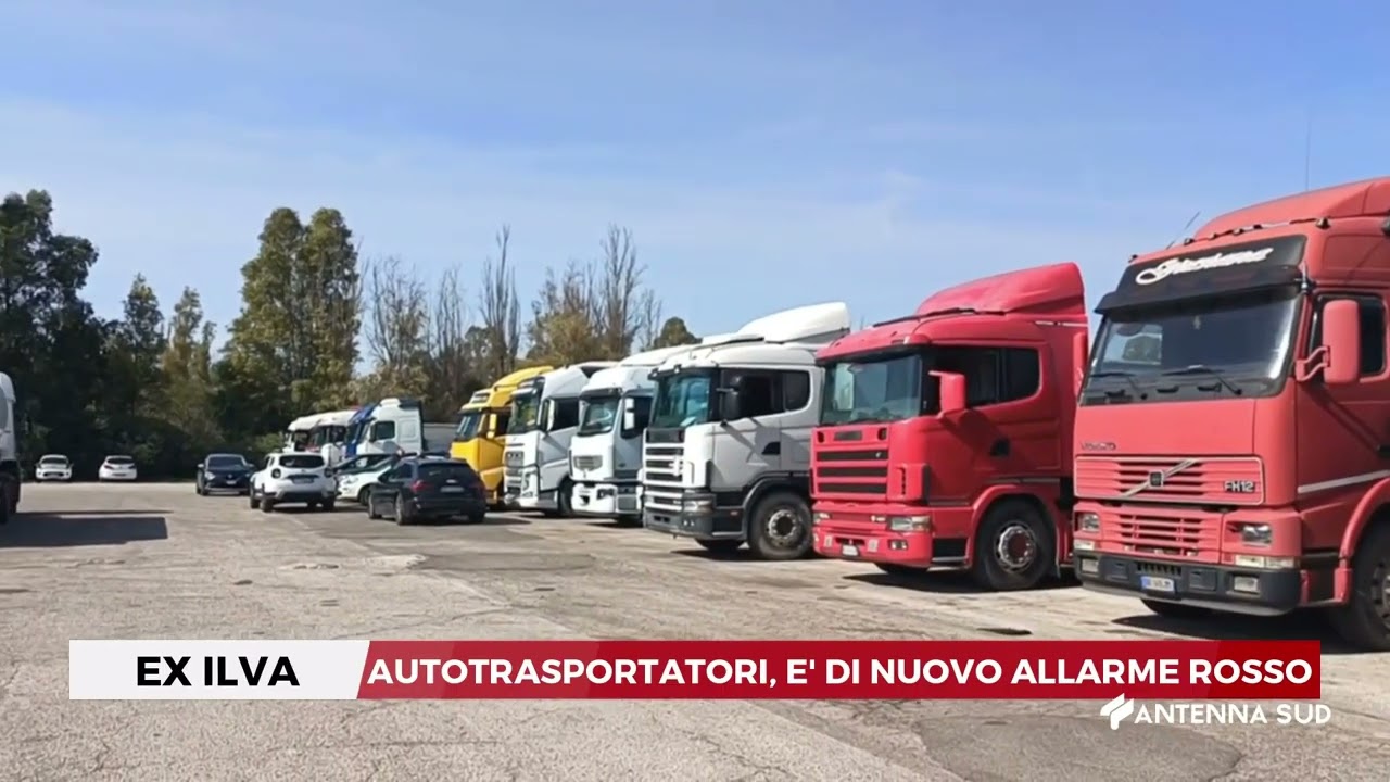 TG INTERREGIONALE PUGLIA E BASILICATA ORE 13:15 DEL 28 OTTOBRE 2024