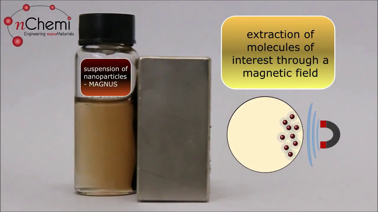nChemi-Magnus MRS Fall Meeting & Exhibit - Imatsci 2018