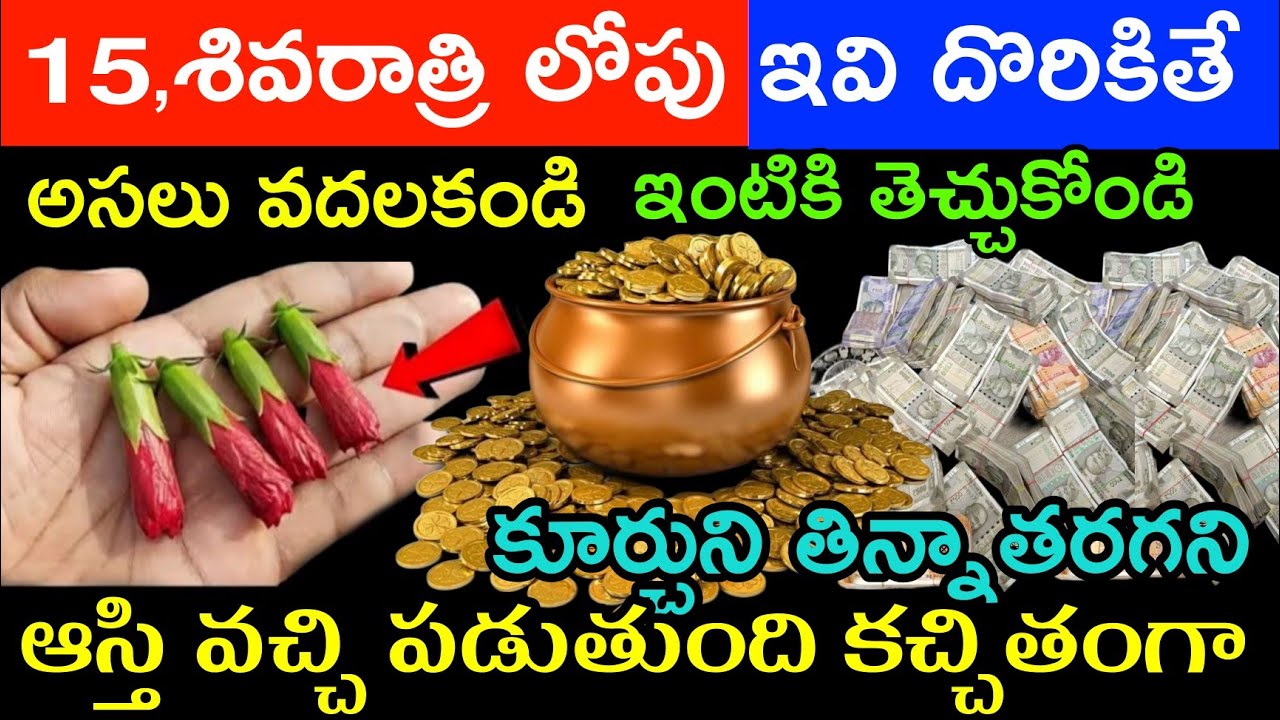 15 శివరాత్రి లోపు ఇవి దొరికితే అసలు వదలకండి ఇంటికి తెచ్చుకోండి కూర్చొని తిన్న తరగని ఆస్తి వస్తుంది