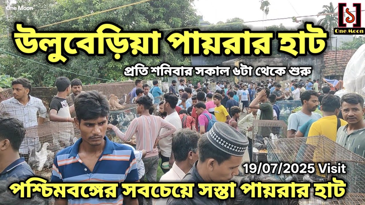 Uluberia Pet Market | Current Exotic Pigeon Price Update at Uluberia 19/07/2025 Visit | @OneMoon1