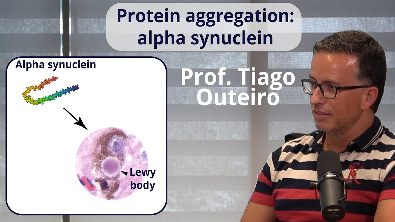 Protein aggregation with the focus on alpha-synuclein