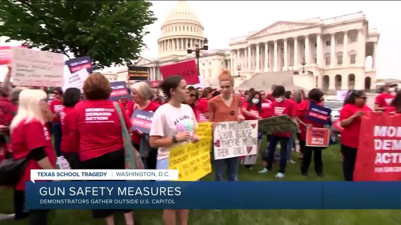 Demonstrators gather outside US Capitol amid gun policy debate