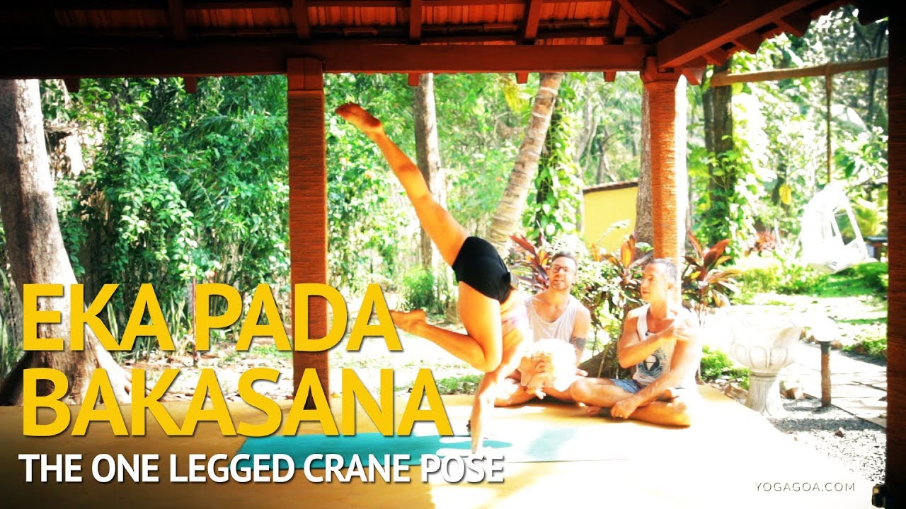 Ashtanga Yoga - The Ultimate Guide to Eka Pada Bakasana!