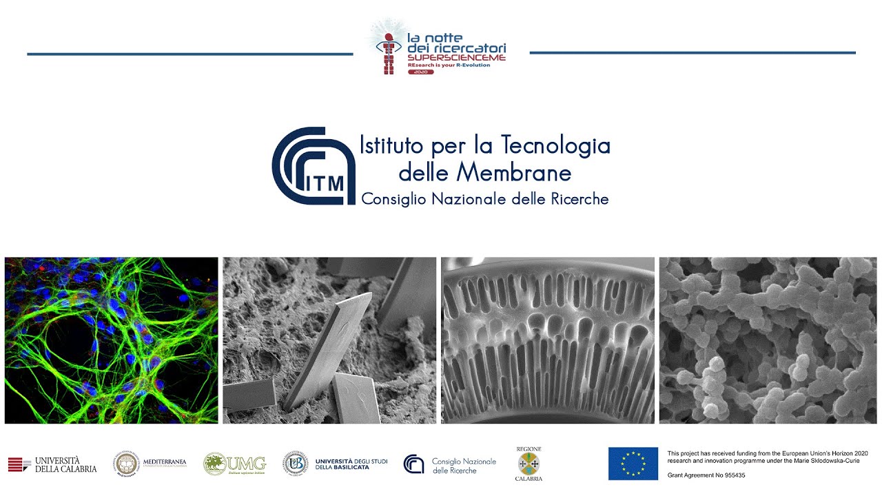 Fibre cave per operazioni a membrana altamente produttive