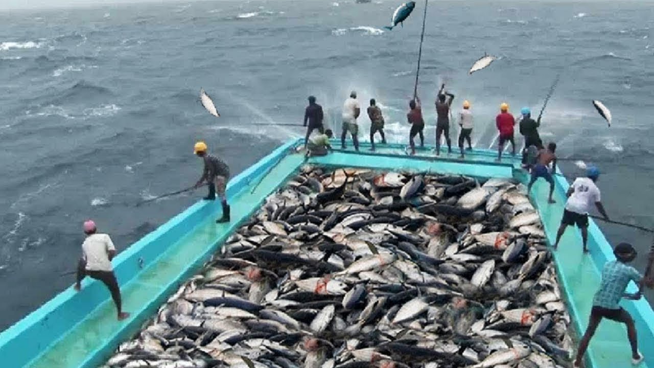 Fishing with Vietnam navy troops in Spratly Islands