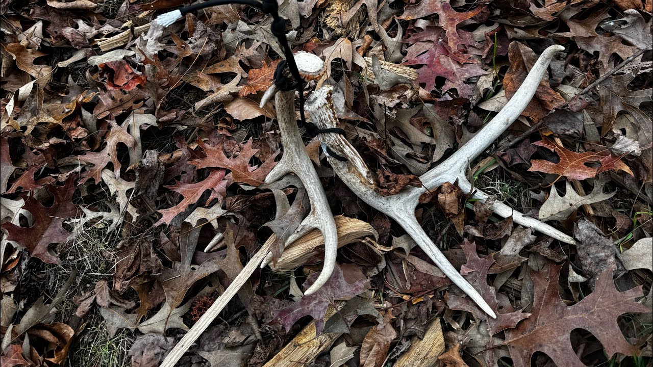 20 Feet Up in the Tree Climber: Rattling for Mature Bucks – Rope Fail! (Southern MD Bowhunt)