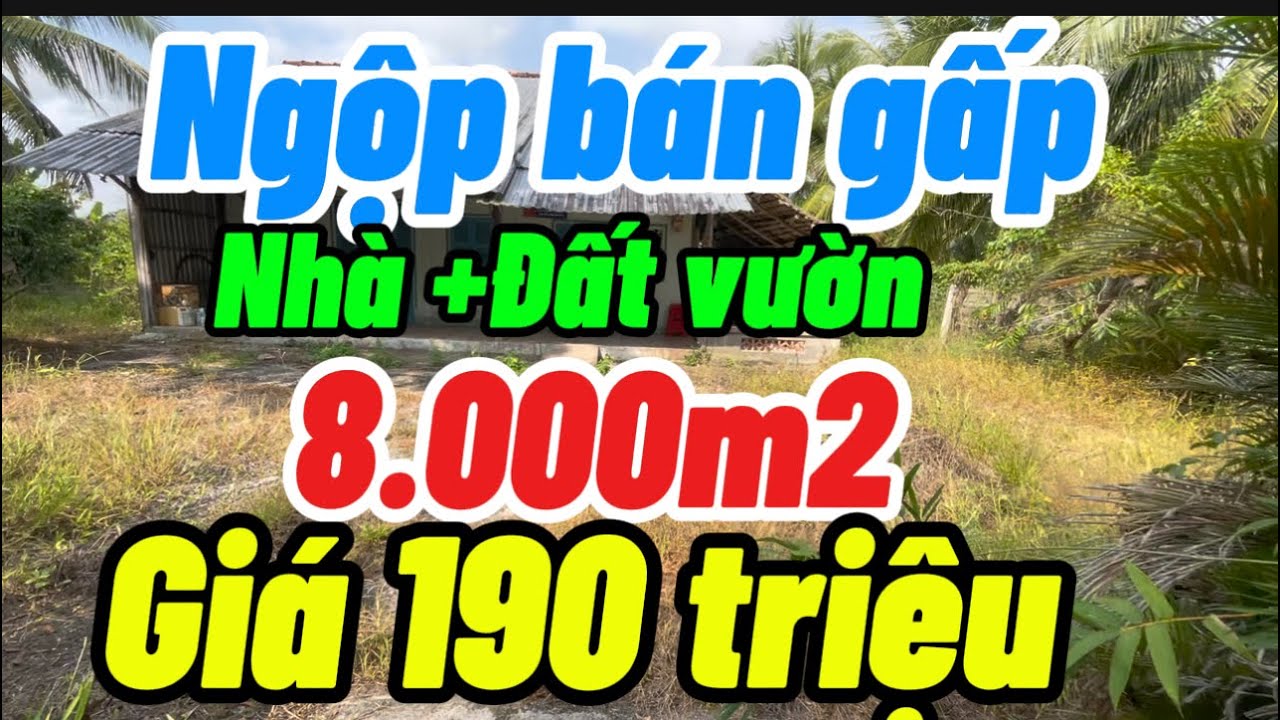 Ngộp Ôxi bán gấp +nhà Và Đất Vườn đường dal giá ngộp điện nước đầy đủ Tỉnh kiên Giang củ 