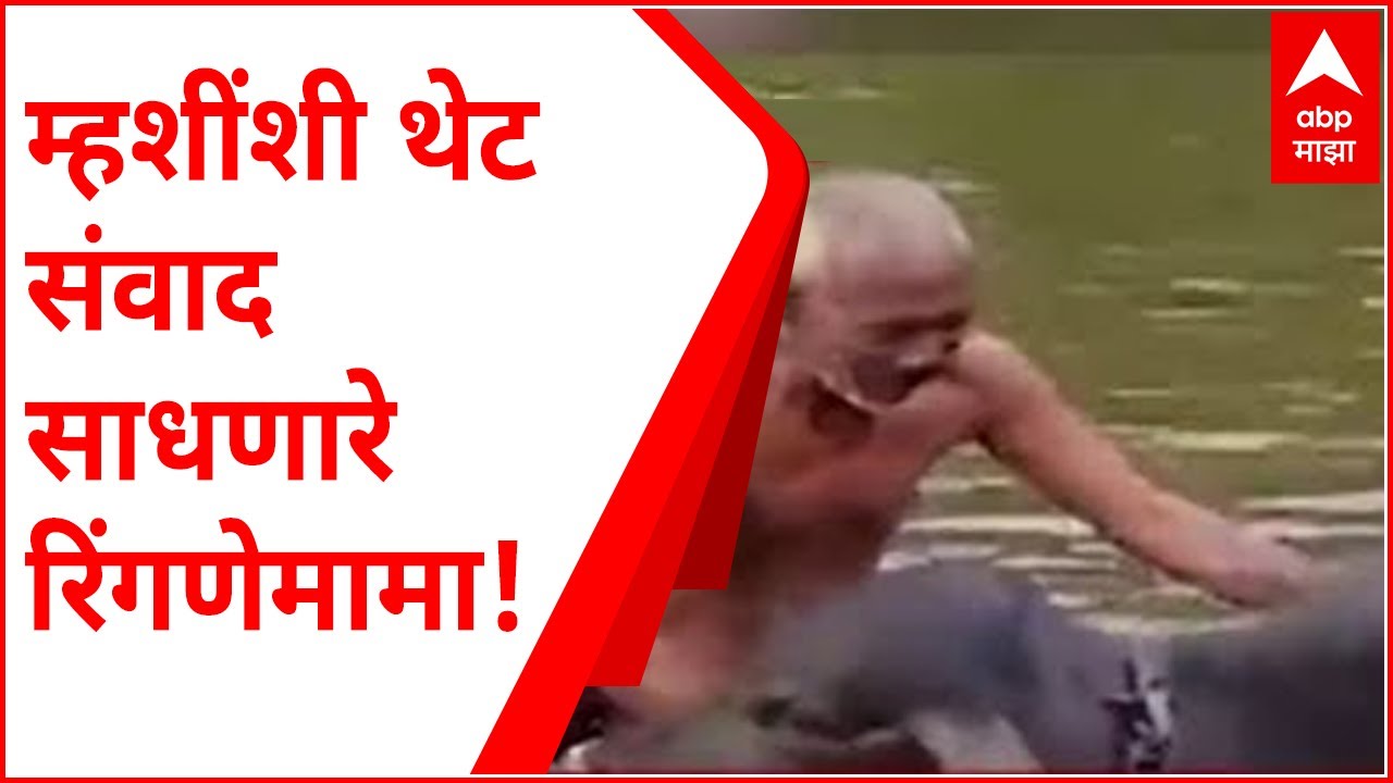 Kolhapur : म्हशींशी थेट संवाद साधणारे रिंगणेमामा! हिरण्यकेशी नदीत मालक अन् म्हशींचा अनोखा संवाद