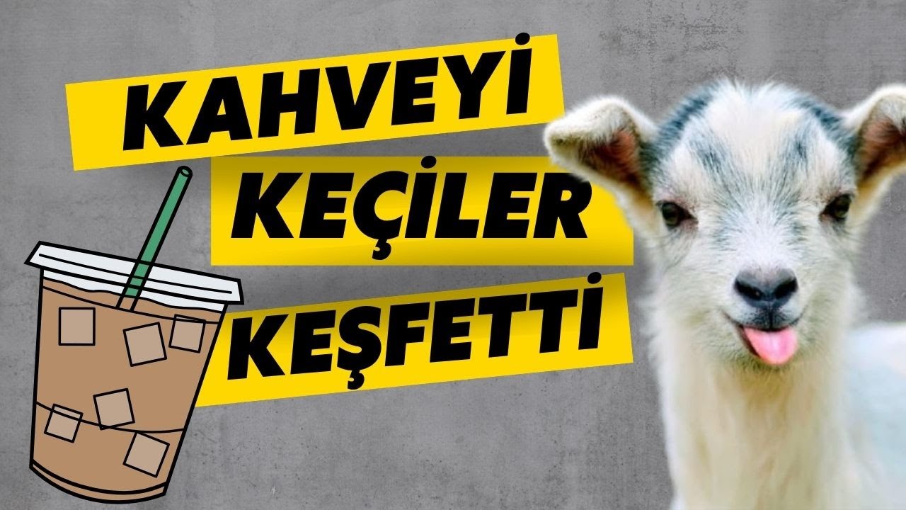 Kahve Nasıl Bulundu? Uykusuzluğu Başlatan Keşif!