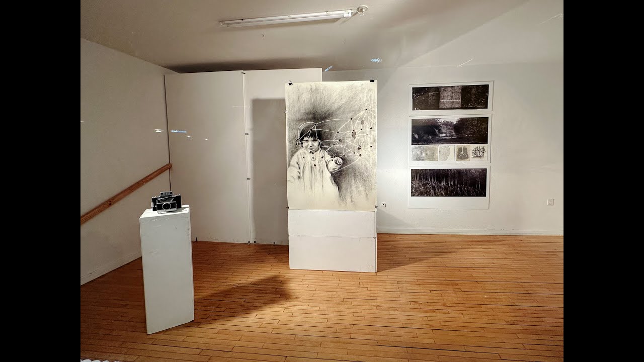 Jonas Normann & Pia Brix-Thomsen / Kunsthal Vejle