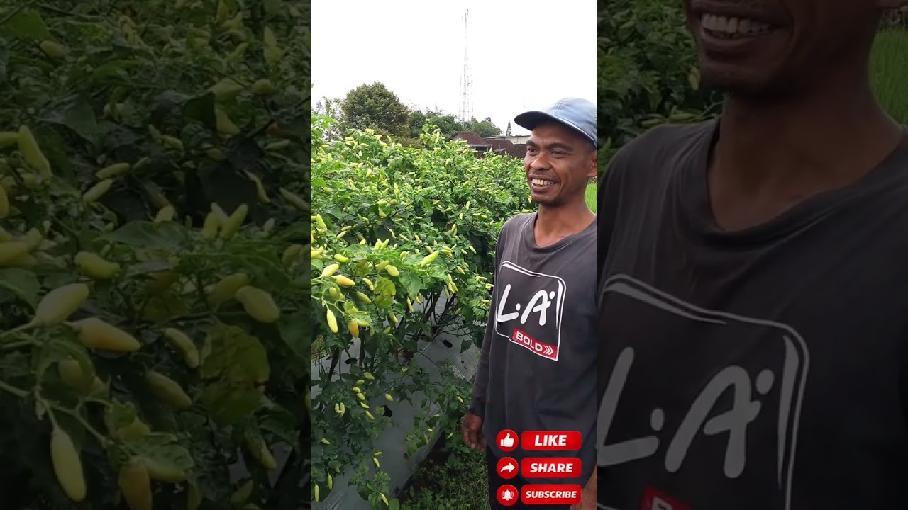 Perdana Berkunjung Kelahan Petani eks. Karyawan Pabrik