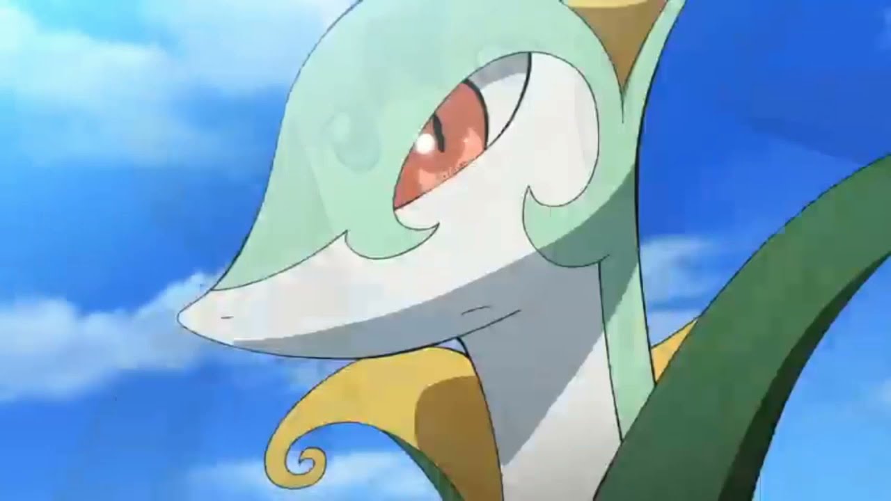 Unova Starters are underrated