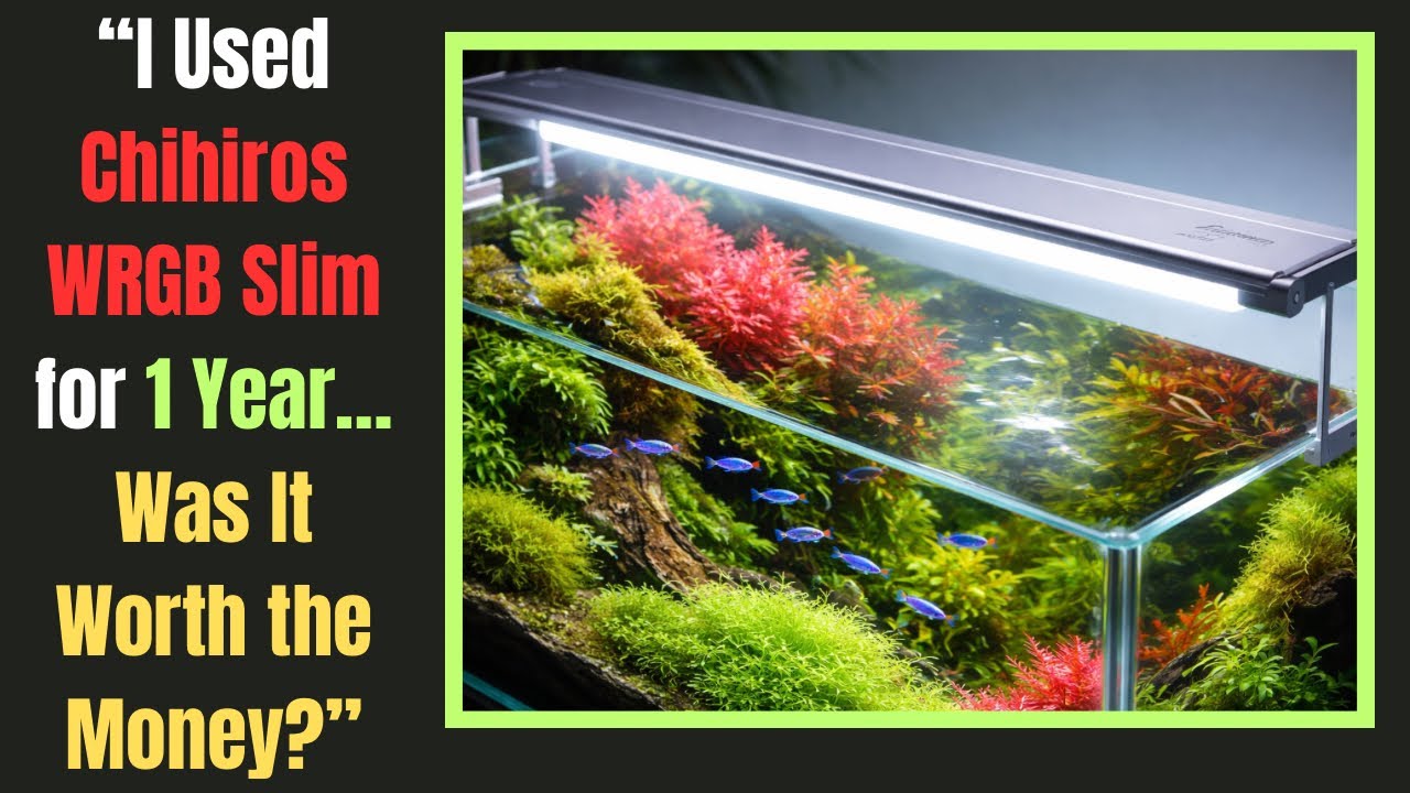 “ONE YEAR LATER”“ Is Chihiros WRGB Slim Still the Best? Honest Review”#chihiros #plantedtanklights