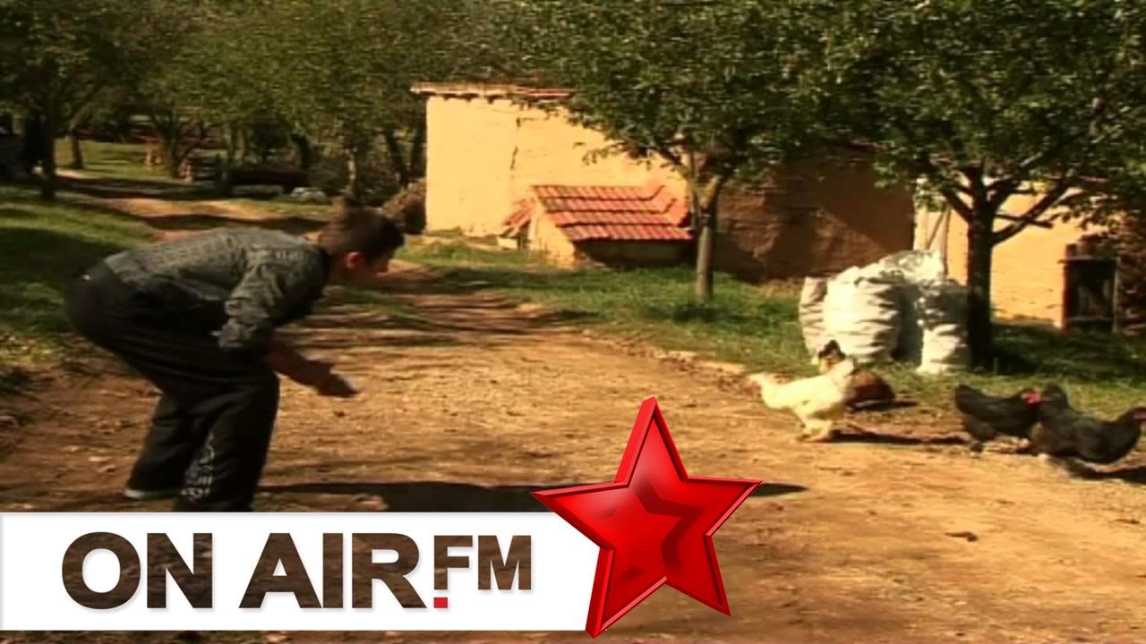 Cima, Dreni, Lulia - Pelen mos e vet