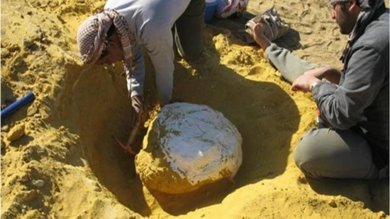 فتح مدفن و العمل على باقي الاهداف