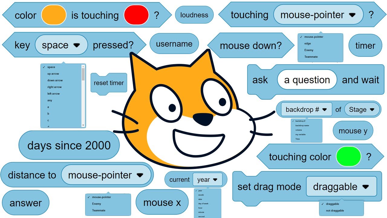 Как использовать каждый сенсорный блок в Scratch