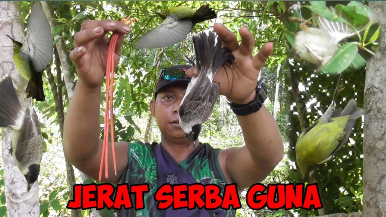 JEBAKAN SEGALA BURUNG MENGGUNAKAN PENTIL SEPEDA