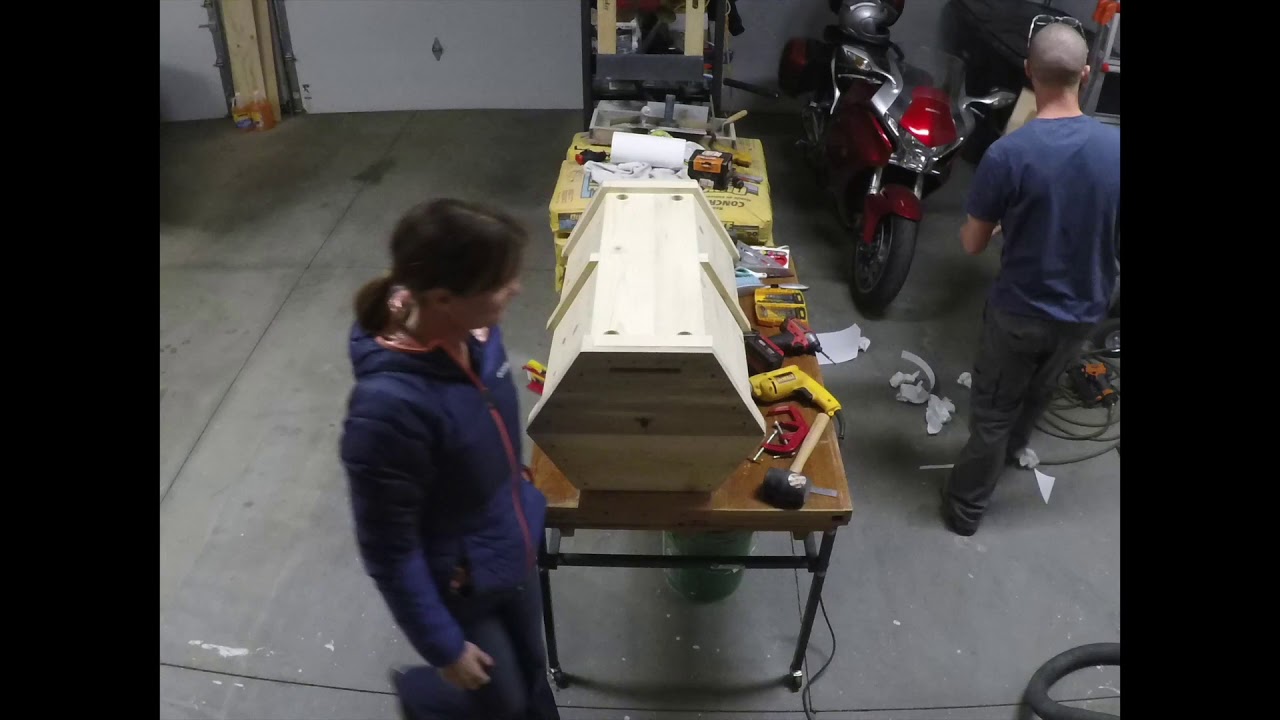 Cathedral Hive Build Time Lapse