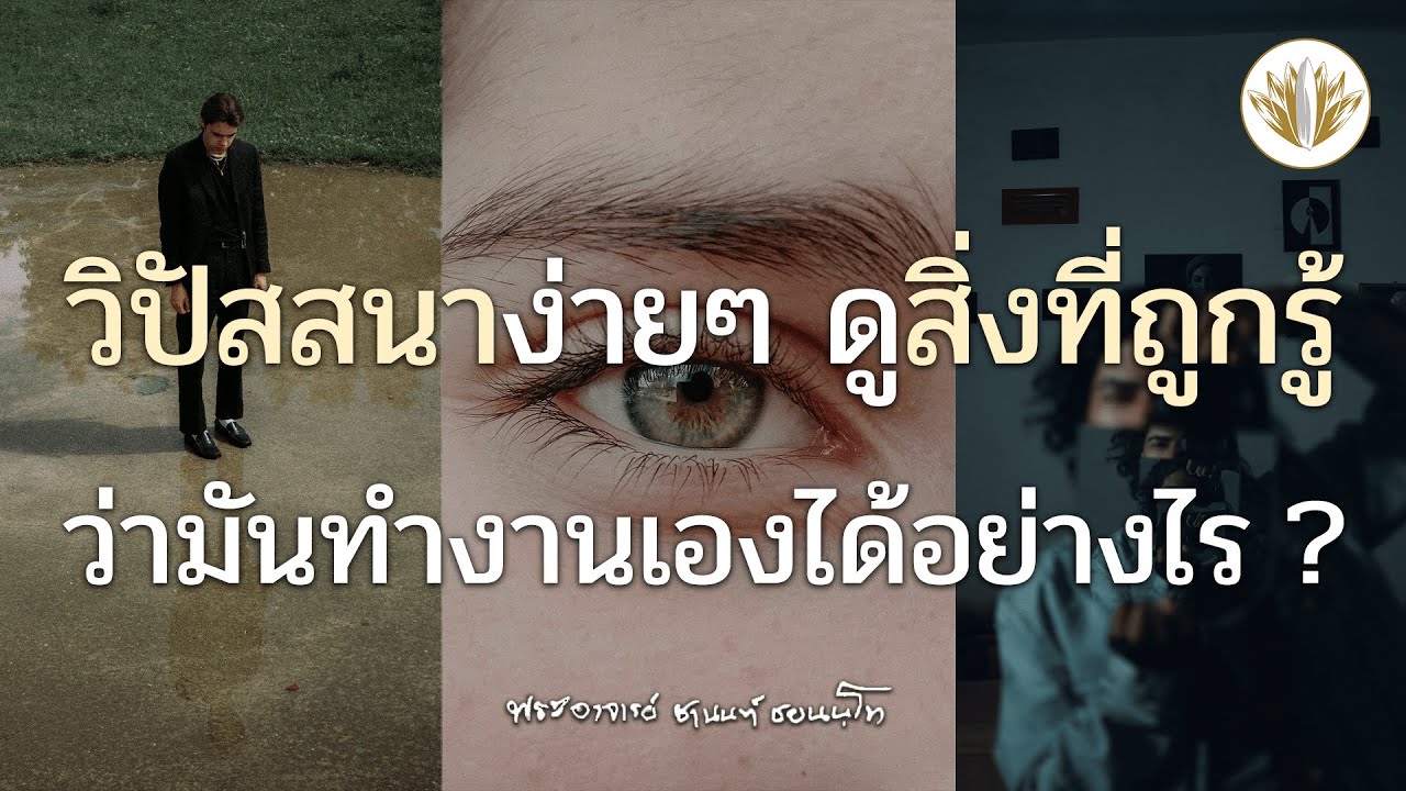 วิปัสสนาง่ายๆ ดูสิ่งที่ถูกรู้ ว่ามันทำงานเองได้อย่างไร 03.09.2566