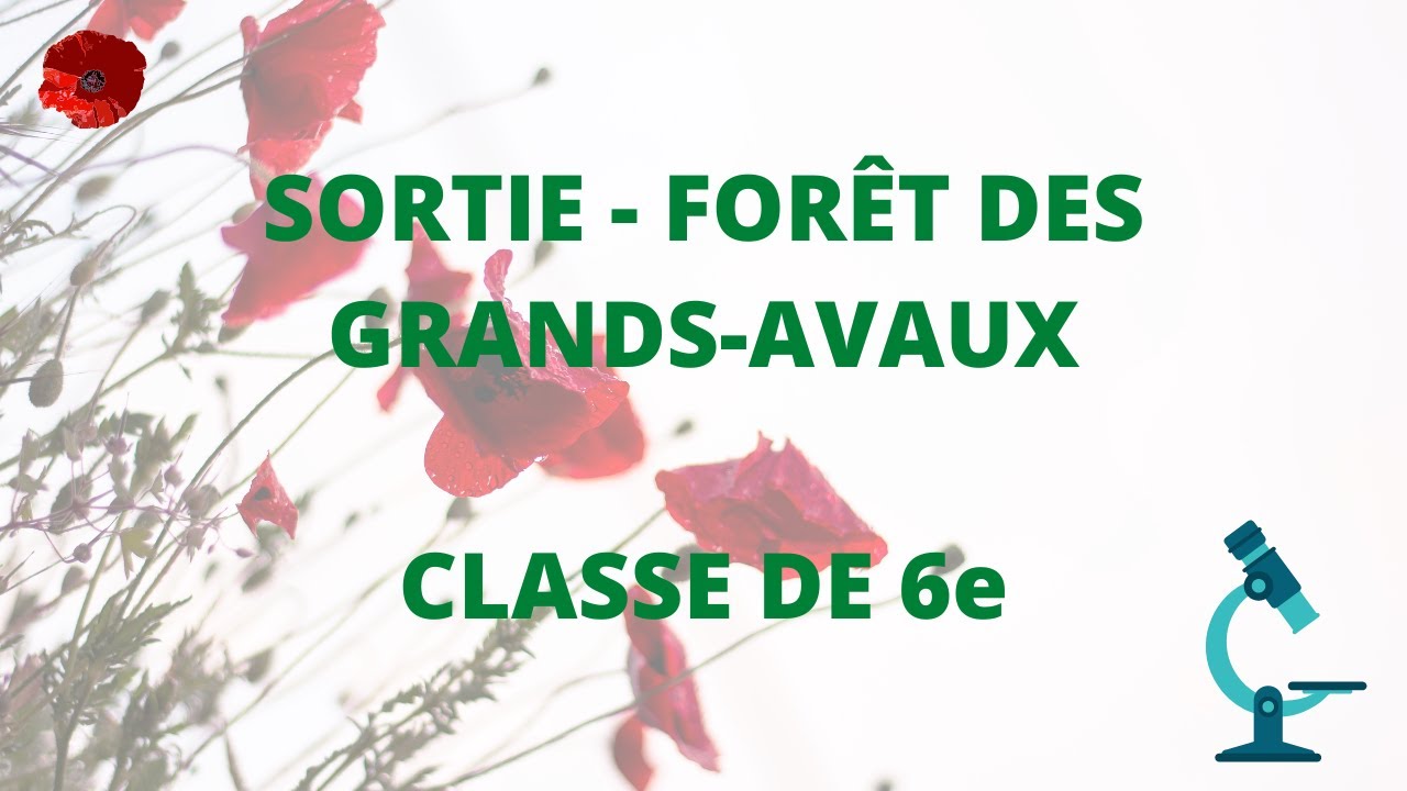 Sortie géologique à la forêt des Grands Avaux