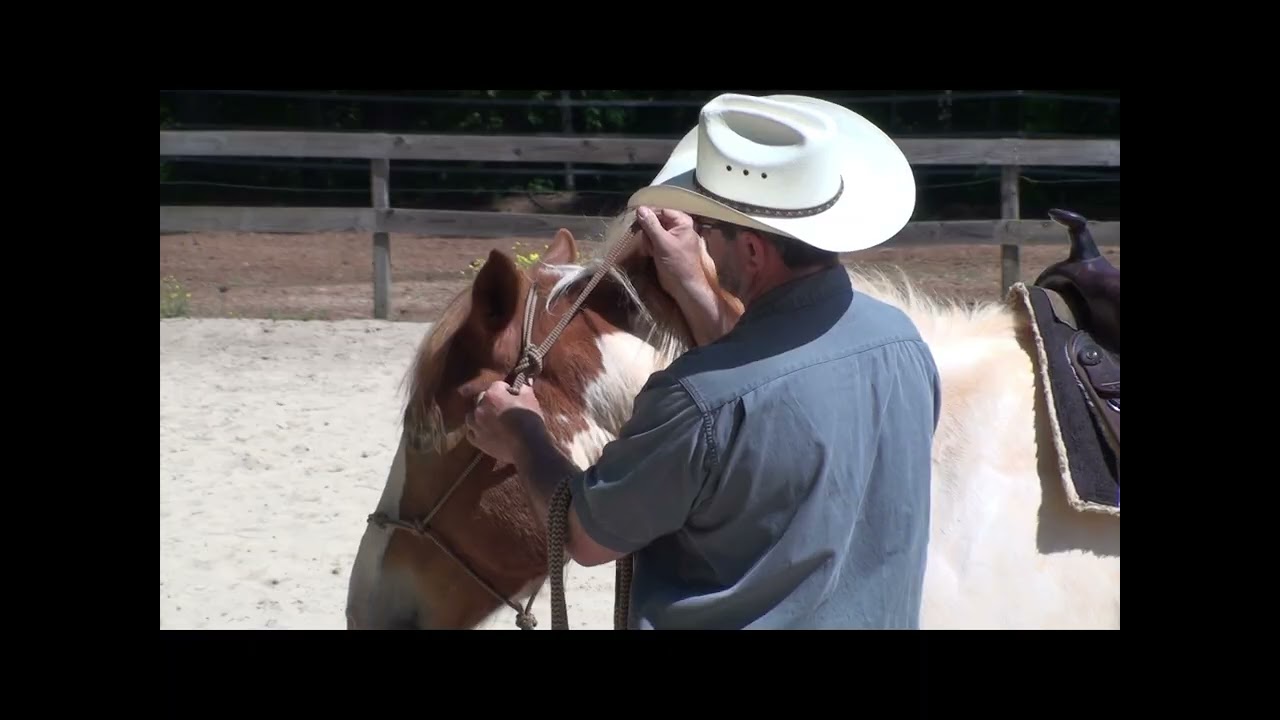 How to tie the rope halter