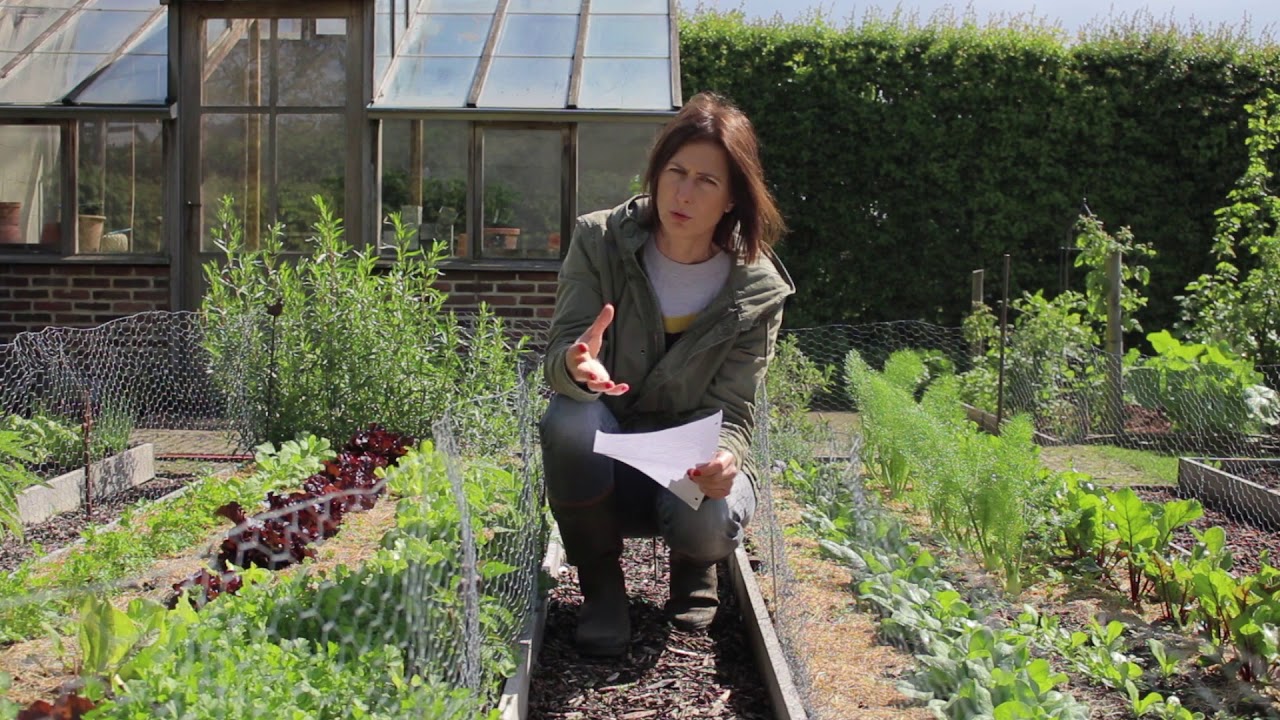 Het moestuinplan, simpel uitgelegd