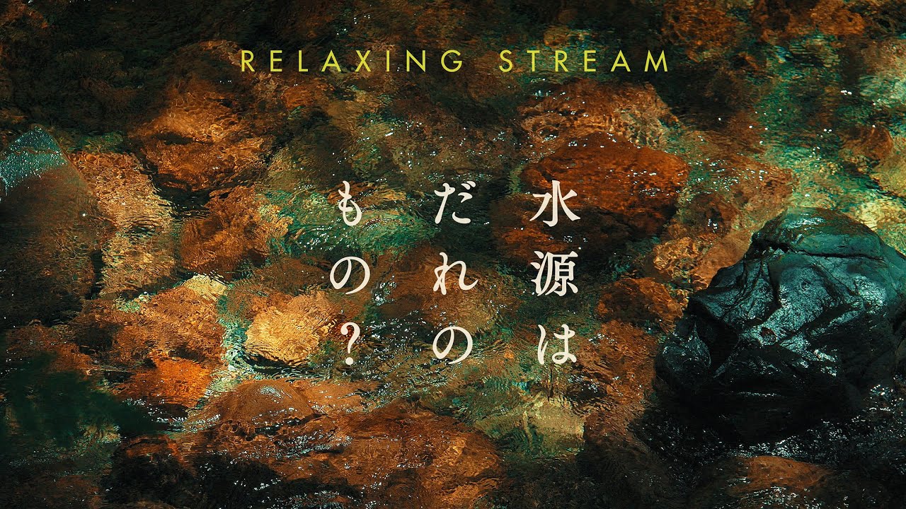 古座川源流 と 水源の森 │ Water source of deep mountain │ Relaxing Stream & Music / ASMR
