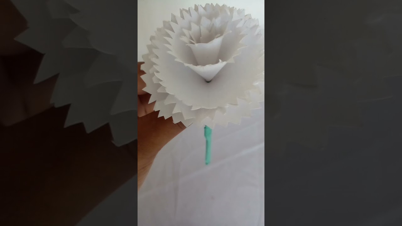 Craft planet presents new curly rose