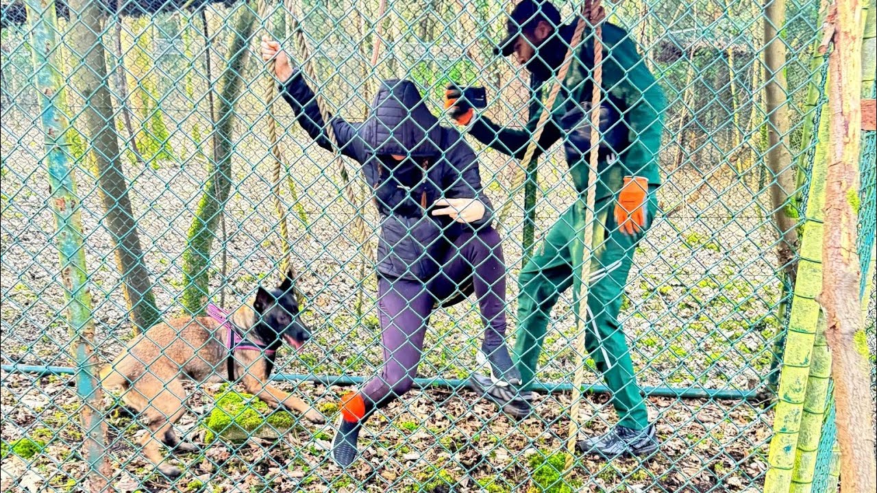 Verlaten dierentuin wassenaar