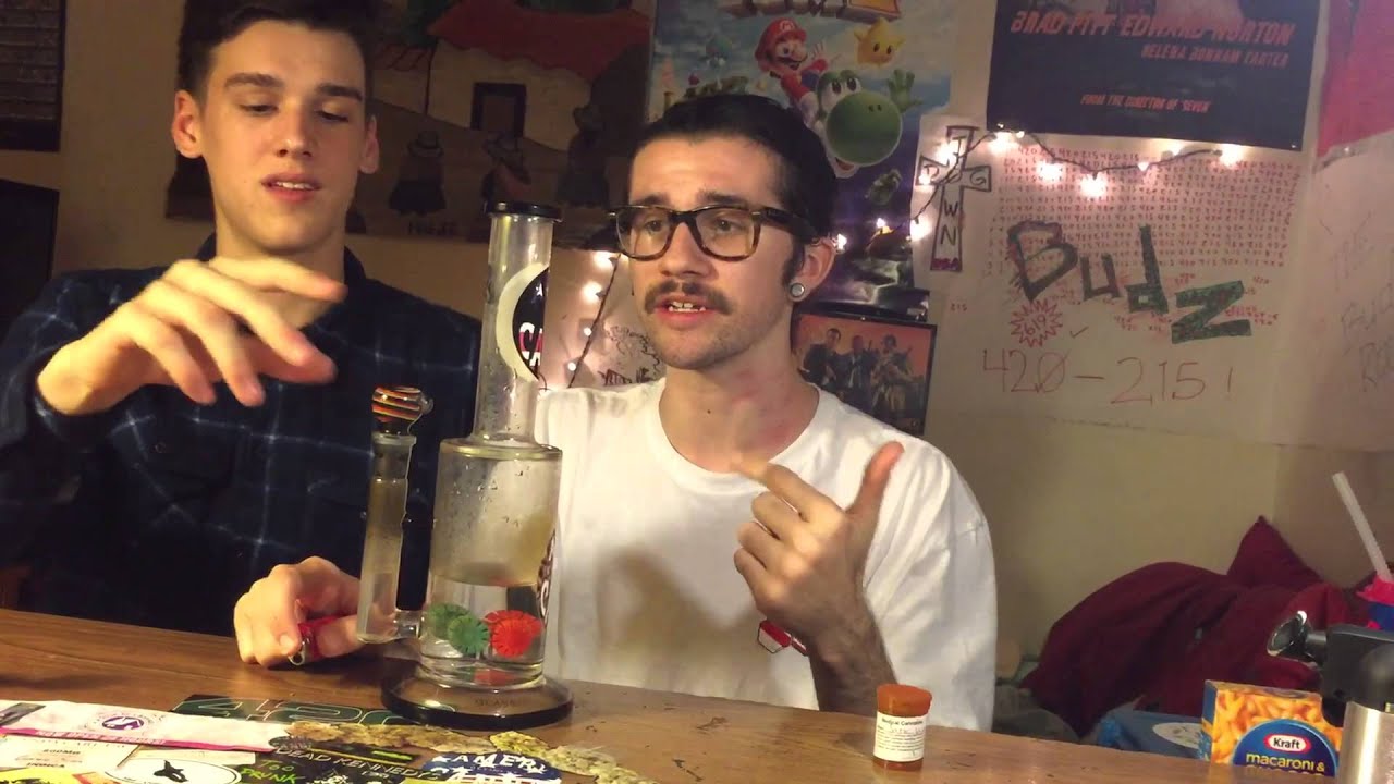 Strain Battle! (Jack Herrer v.s. Jelly Bean)