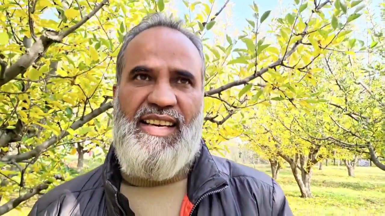 Urea Spray in Apple 🍎 Orchards ✅✅/Dr.Tariq Rasool , Plant Pathology AARC-Shopian, Skuast-Kashmir 