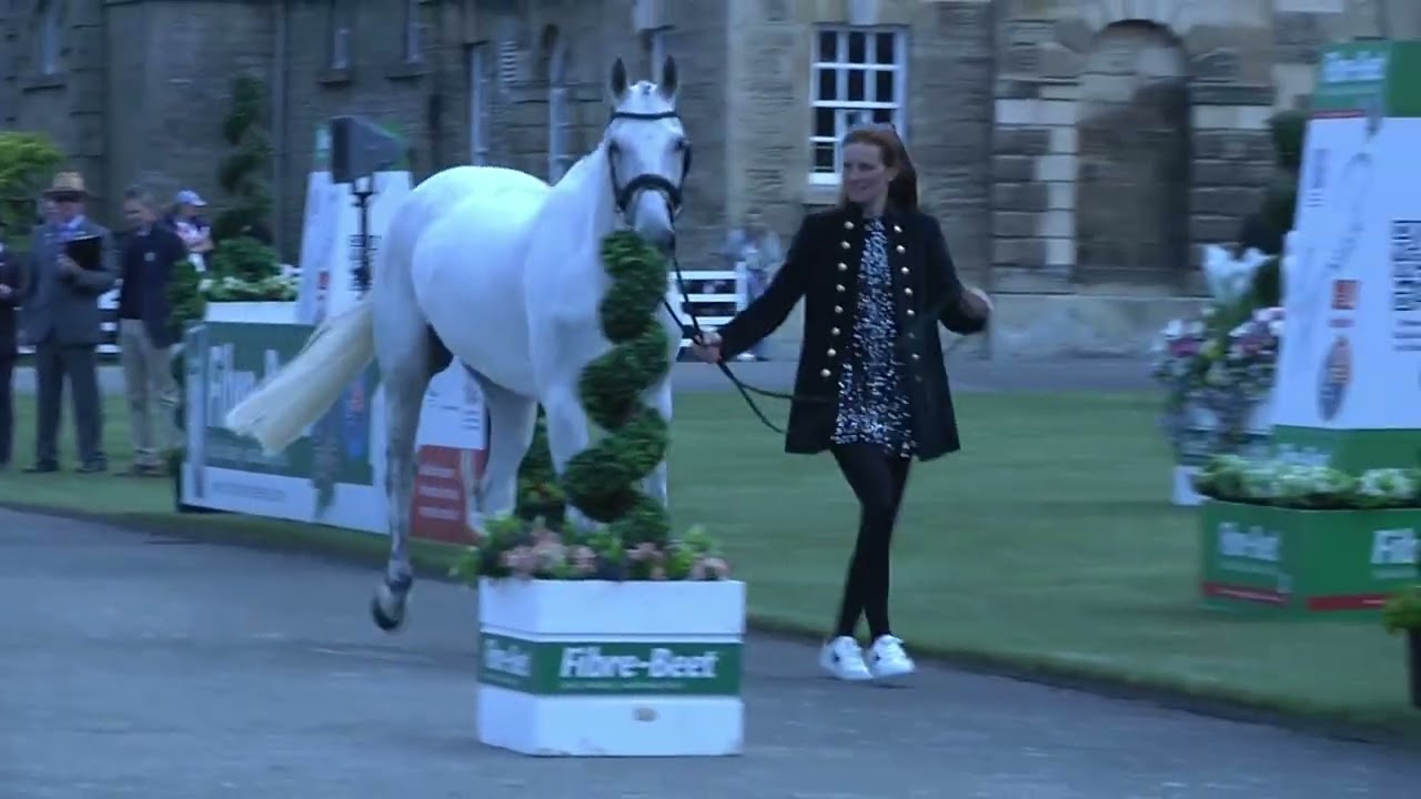 2025 Bramham international Horse Trials Vet Inspection.  Looking to 2026 Timeline 1.mp4 16-3-26