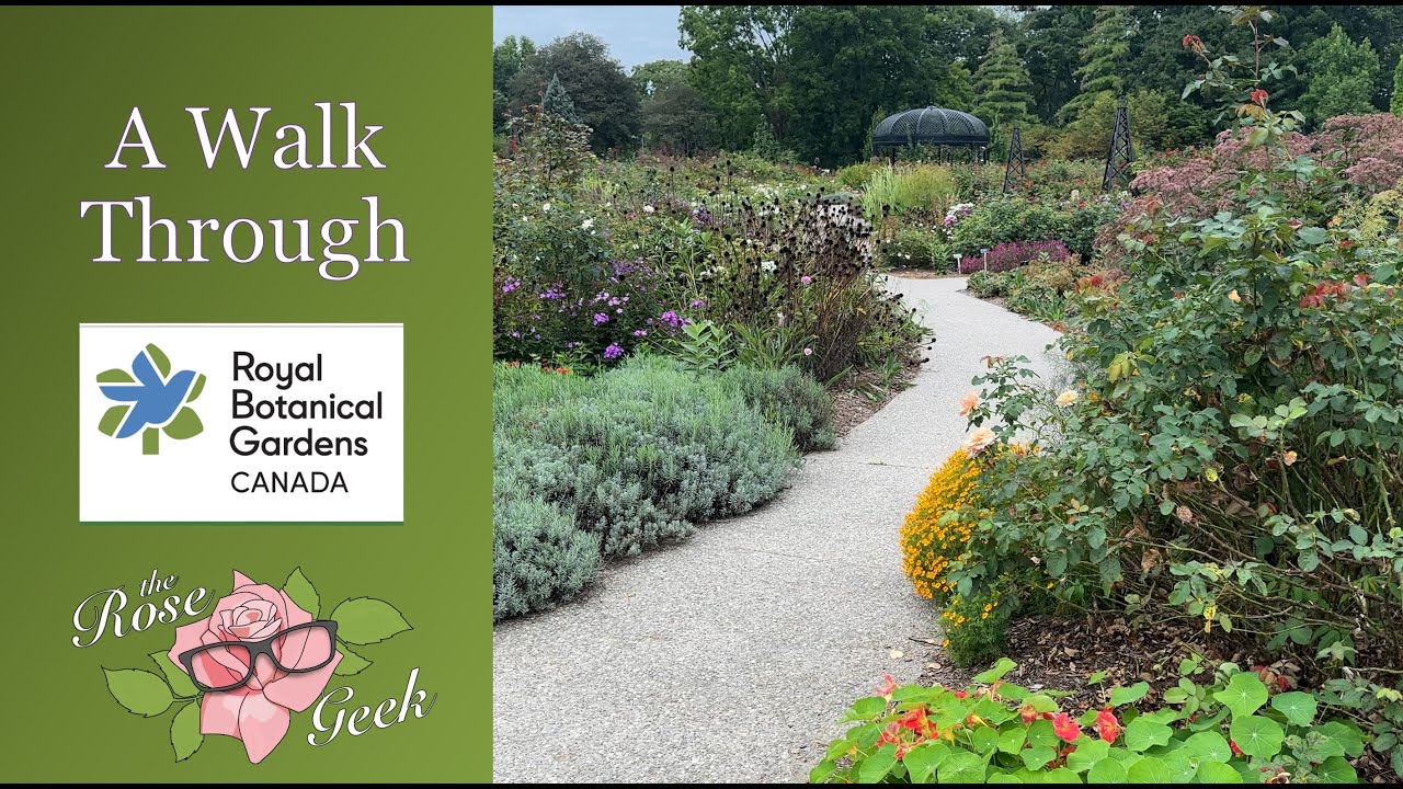 🌹 Royal Botanic Garden Ontario Tour / Rose and Perennial Garden
