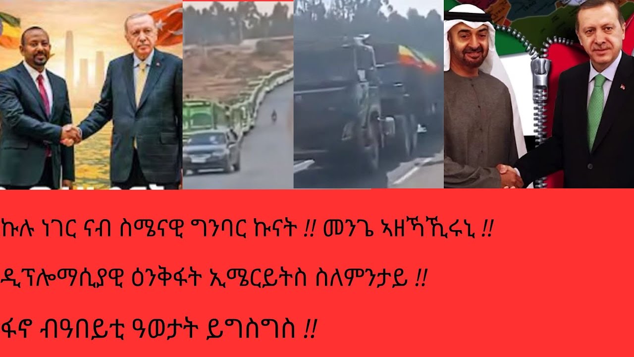 ኤርዶጋን ኣብ ጉዳት ቀይሕ ባሕርን ! ፋኖ ብዓወታት ! ህውሓት ኣብ ተጠንቅቕ !!