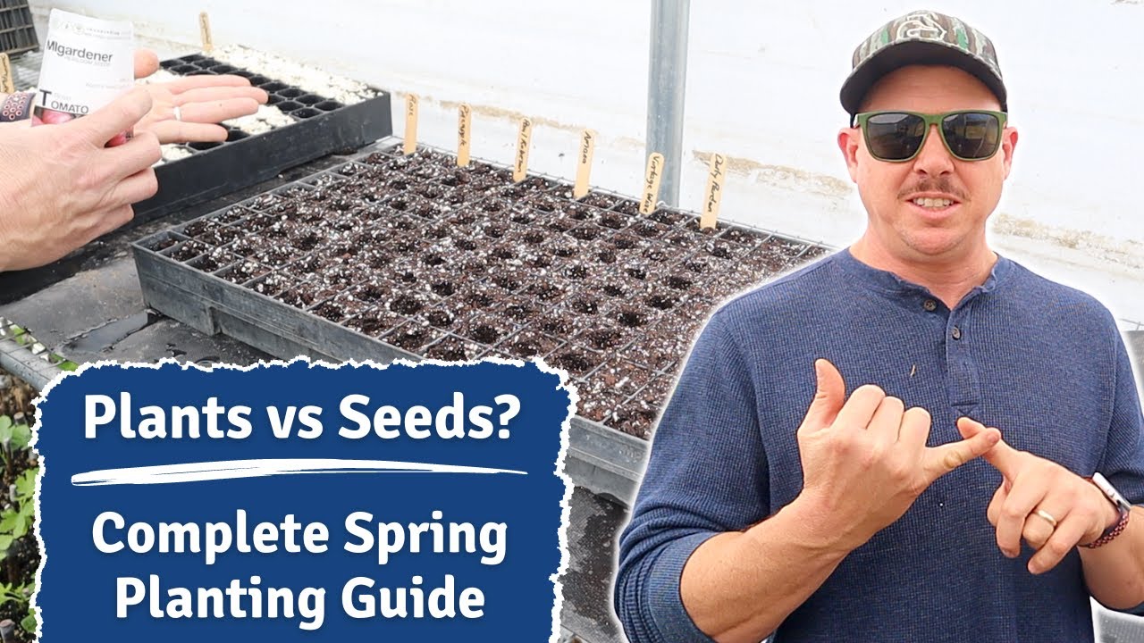 START THESE SEEDS EARLIER THAN THE REST!