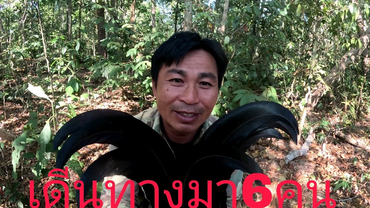 เดินทางขึ้นป่าอีก 6 คนวันนี้