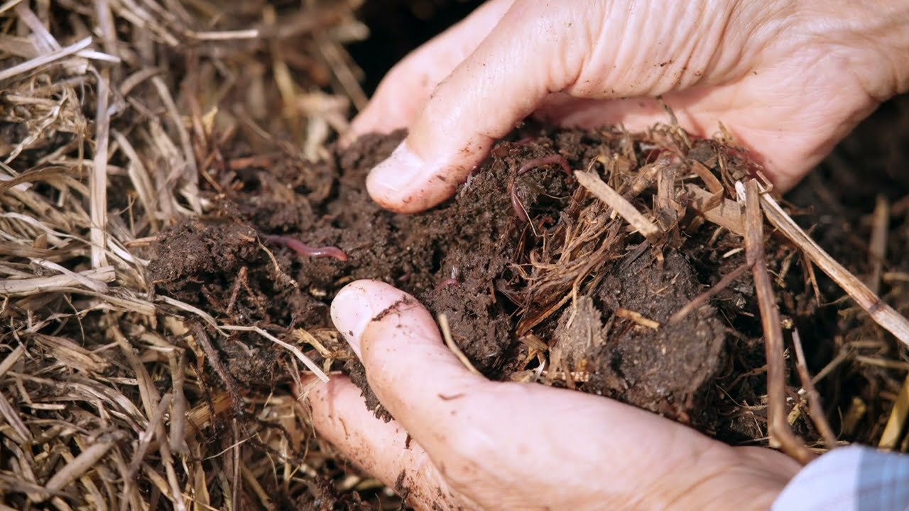 Biodynamisk dyrkning - med dokumenteret regenerative effekter på jorden