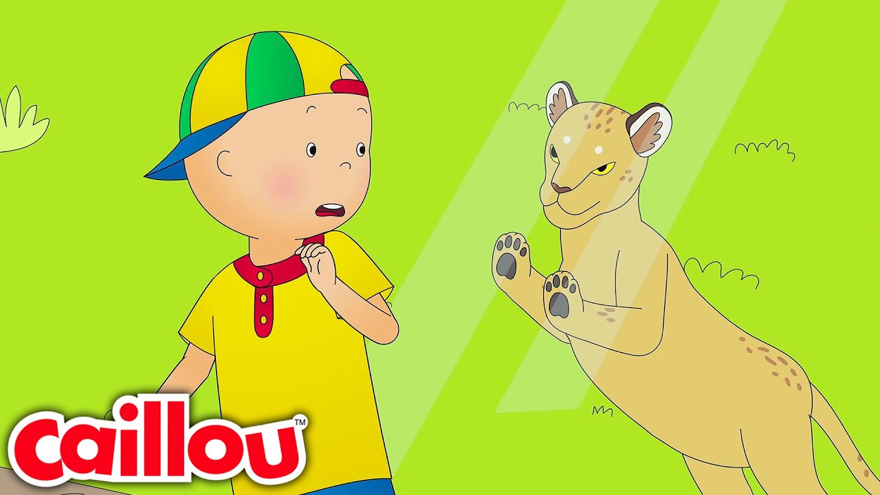Caillou no Zoológico | Caillou Português - WildBrain | Aprendizagem para crianças