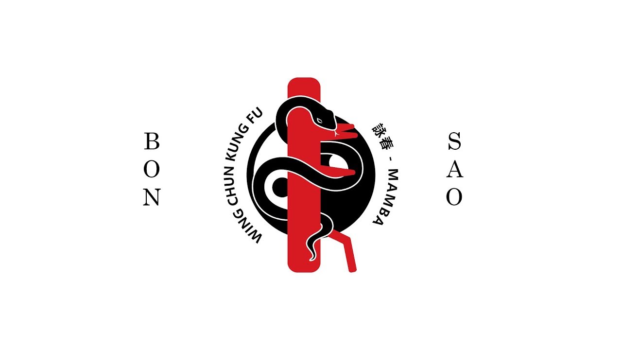 Kung Fu Mamba Wing Chun 101 Bon Sao (Quick Steps)